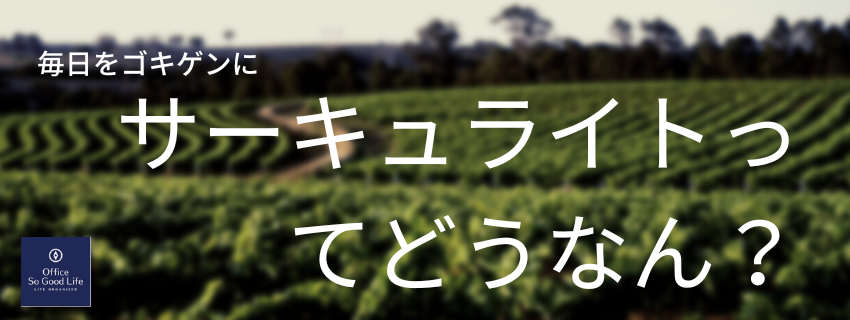 新アイテムをお試し！「LEDシーリングファン」レビュー