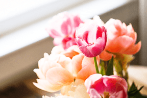 年度末、新学期準備はお早めに！